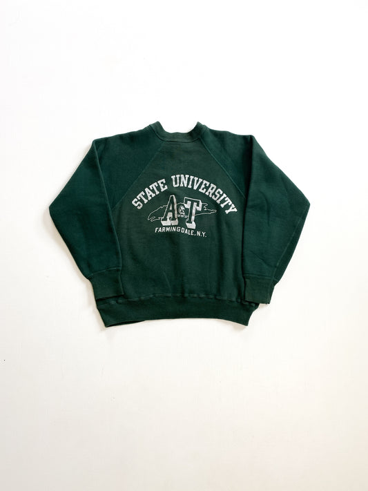 1960’s NY A&T Champion Crewneck